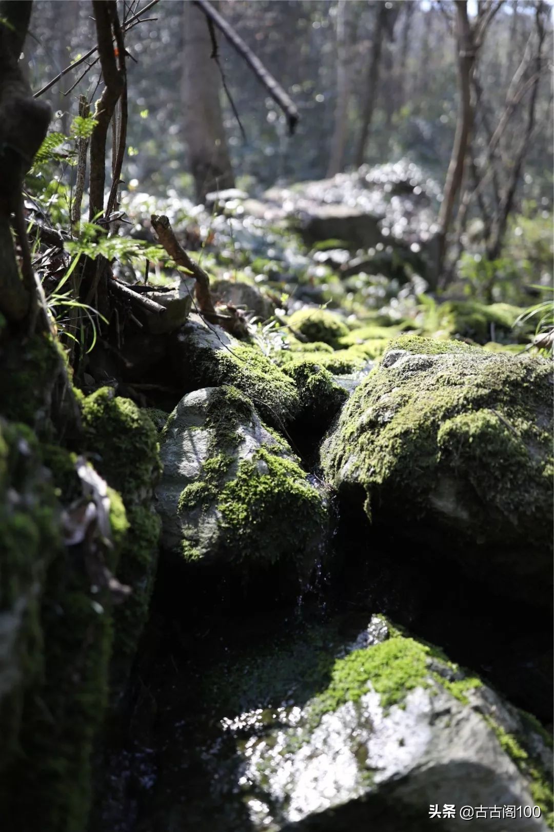 越王峥大峡谷：风景壮美，迷倒众生