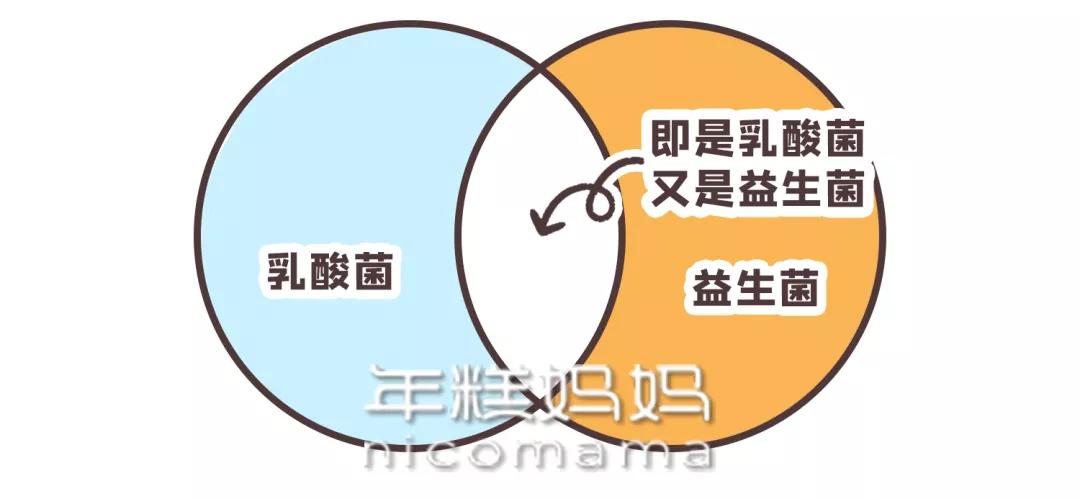 乳酸菌、益生元、益生菌是什么？分清这几点，让你少花冤枉钱