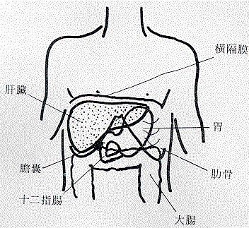 慢性胃炎跟乙肝有关系吗,胃病可以和乙肝一起治疗吗