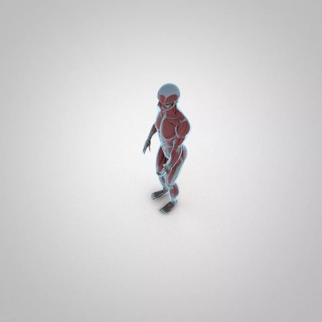 5个臀部动作练屁股,5个需要了解的臀部训练