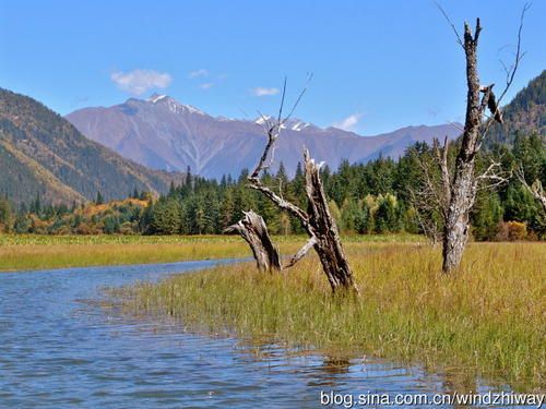 想带你去欣赏秋季的童话——甘海子