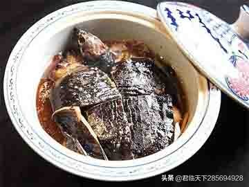 潮汕红烧甲鱼鸡煲做法,粤菜干锅甲鱼做法