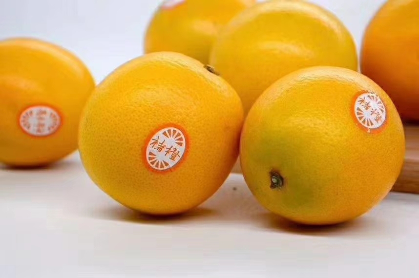 全球十大名橙排名,国内外名橙