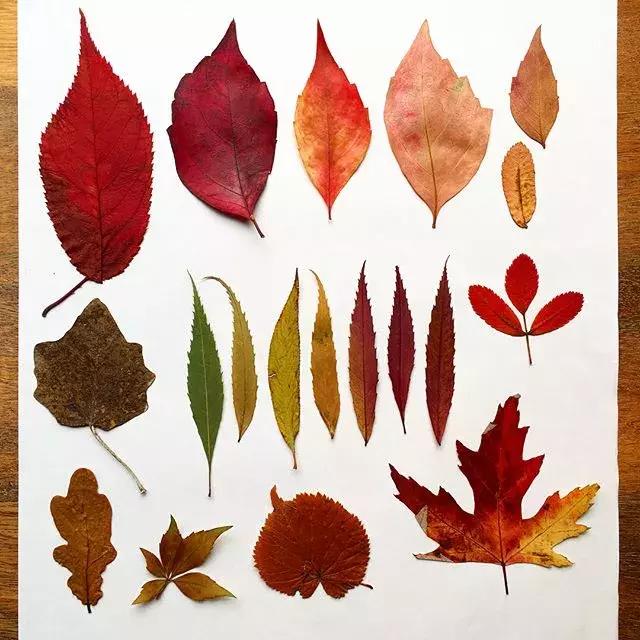 如何用手账本做一篇漂亮的手账,青春专属手帐