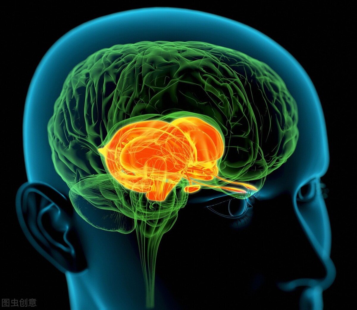 刘博士英语视频,刘博士的英语课堂