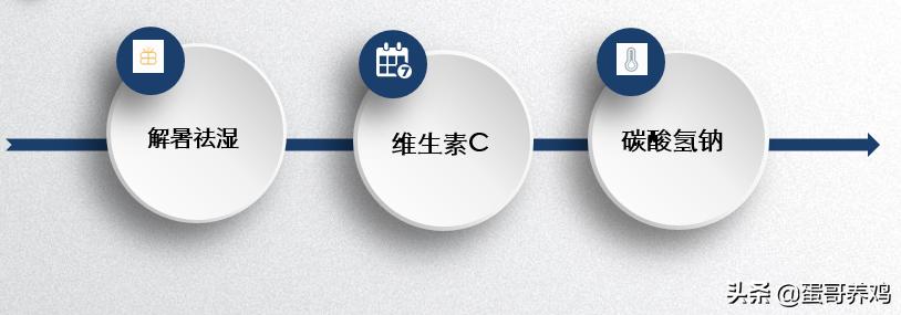 防止鸡中暑养殖的妙招,夏天高温怎么预防鸡中暑