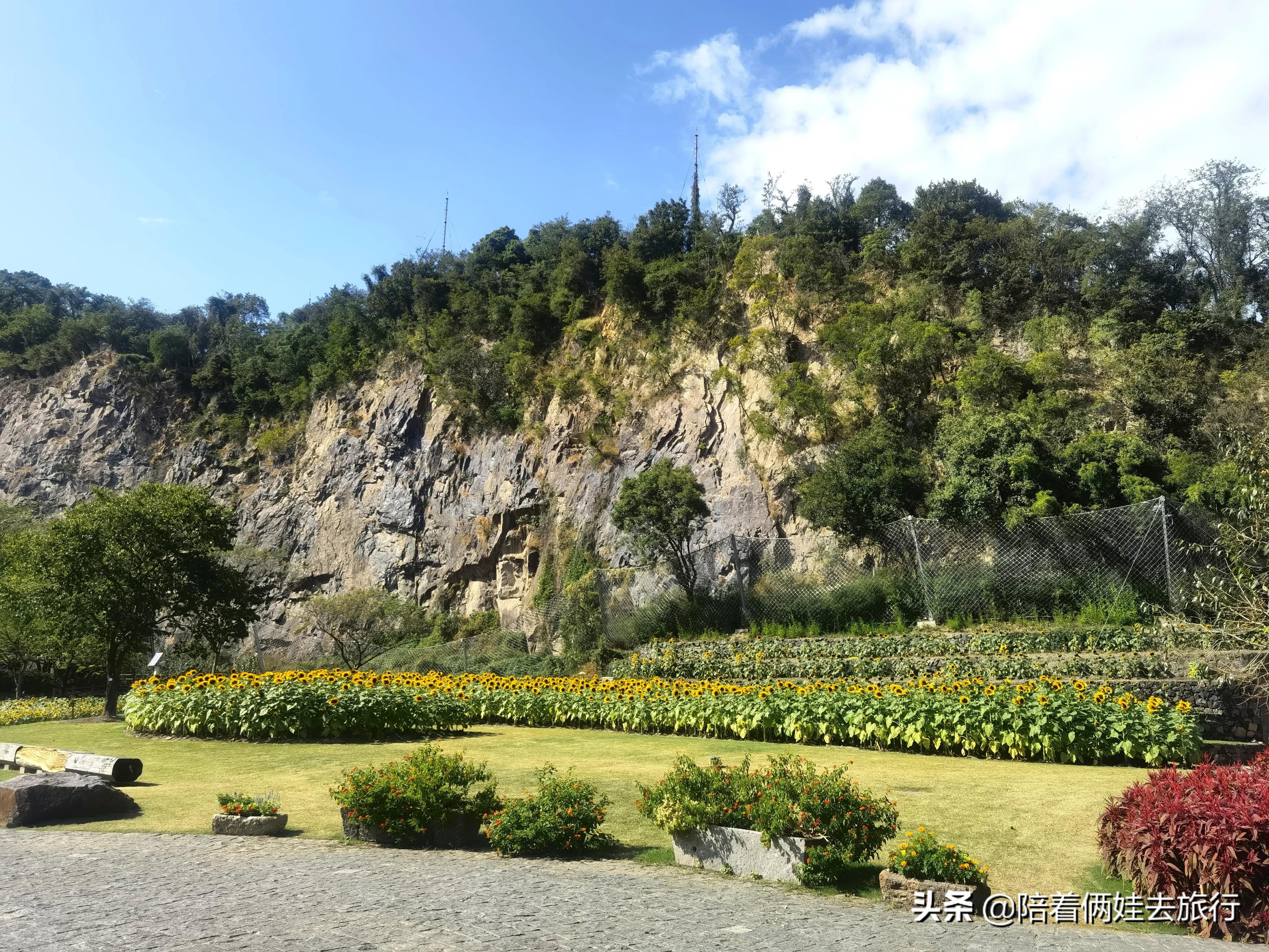 上海辰山植物园矿坑花园,辰山植物园矿坑花园修好了吗