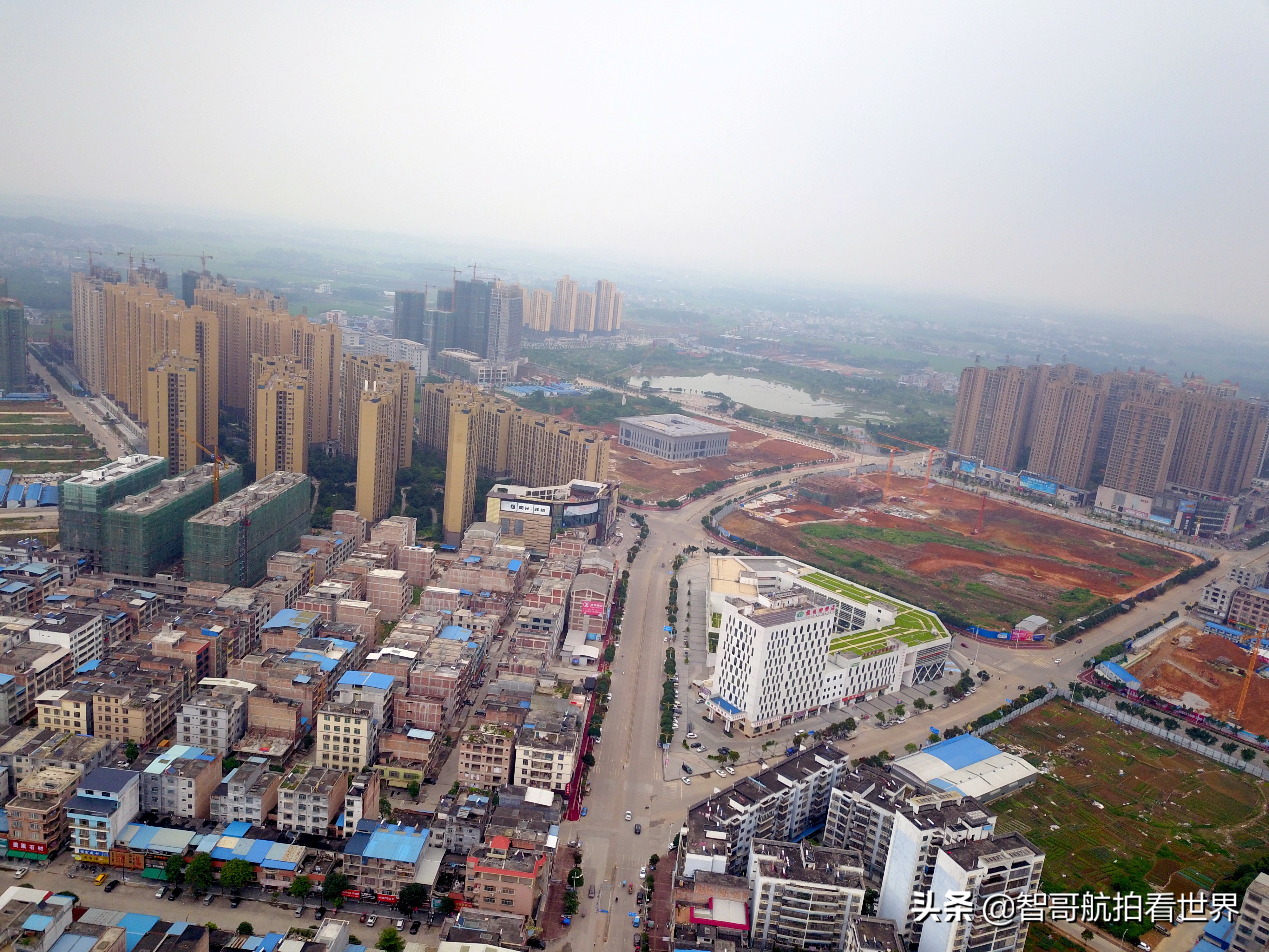 广西宾阳炮龙乡视频,宾阳炮龙之乡新闻