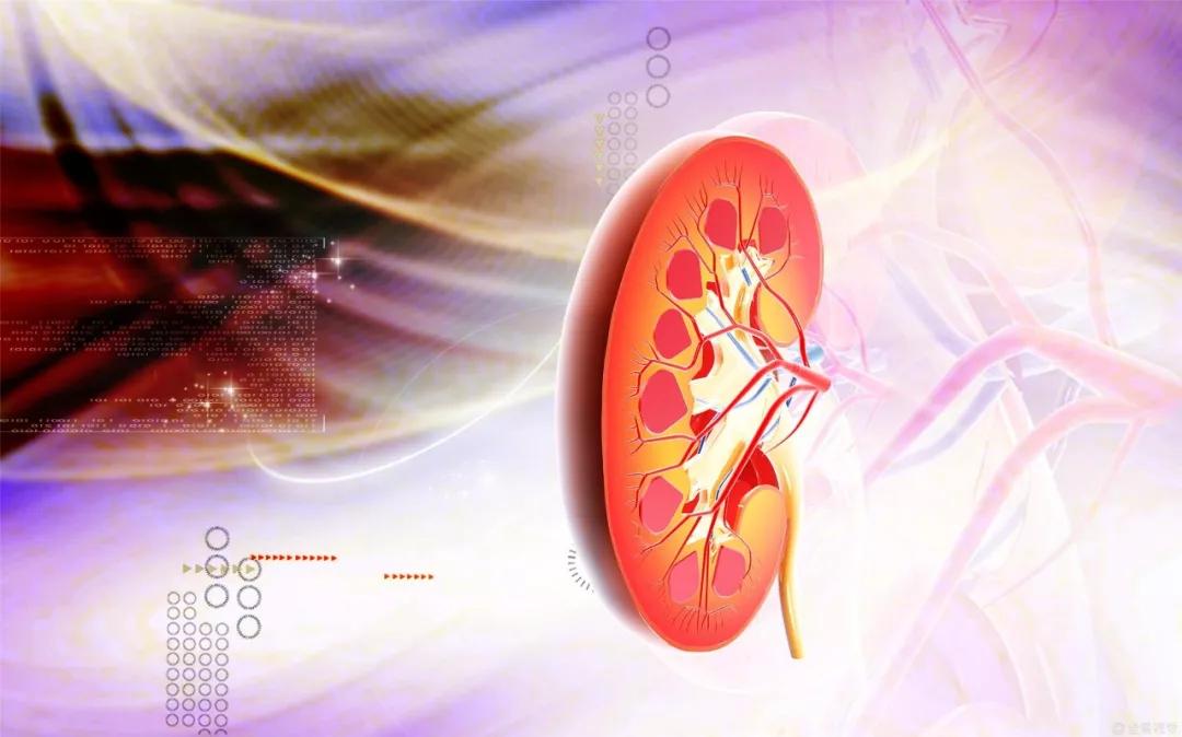肾性尿崩症治疗及用药量,肾性尿崩症和中枢性尿崩症鉴别