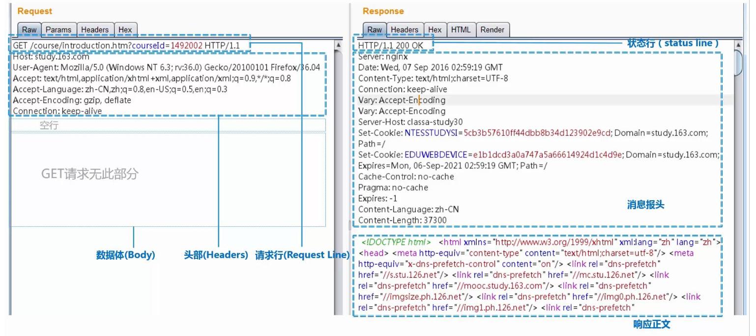 万维网的基础知识,如何理解万维网