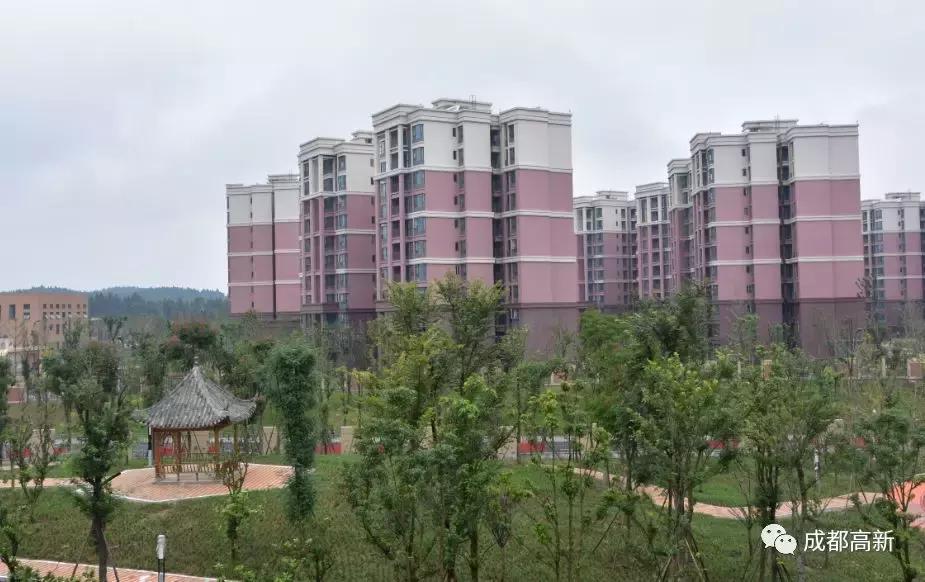 致敬岁月，未来可期！穿越30年带你看成都高新30个第一