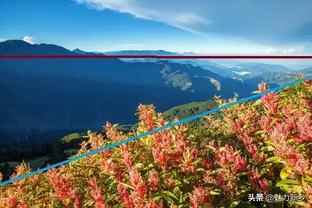 拍摄构图中常用的5种景别,摄影技巧三分法