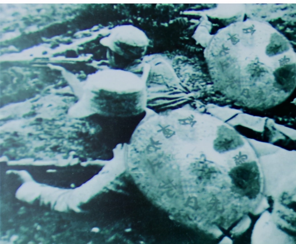 粟裕最低谷时有多“难”？被政委骂娘，差点被苏联留学生害死