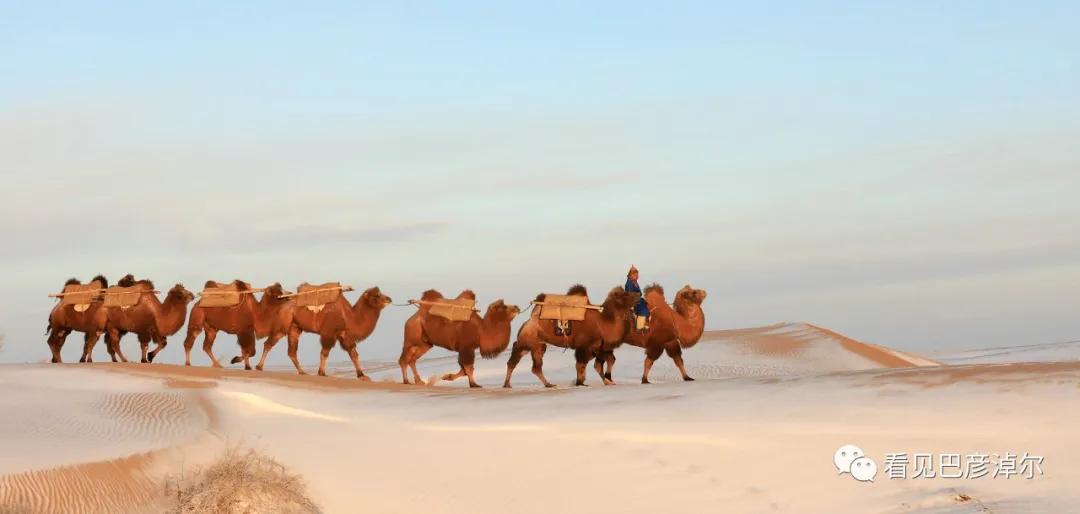 内蒙古巴彦淖尔有多美,巴彦淖尔有多美