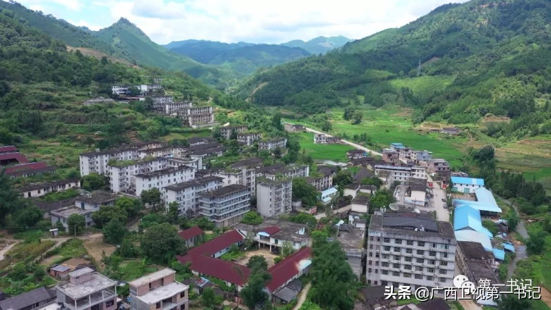 “仙草林”有什么致富宝？“罗曼粉”还可以下“金蛋.......