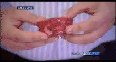 澳洲牛肉骗局揭秘,澳洲牛肉真相揭秘