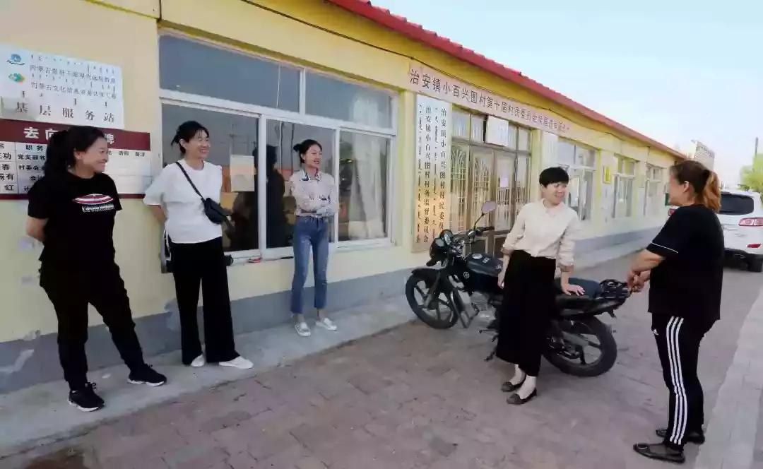 奈曼三花猫,奈曼三金