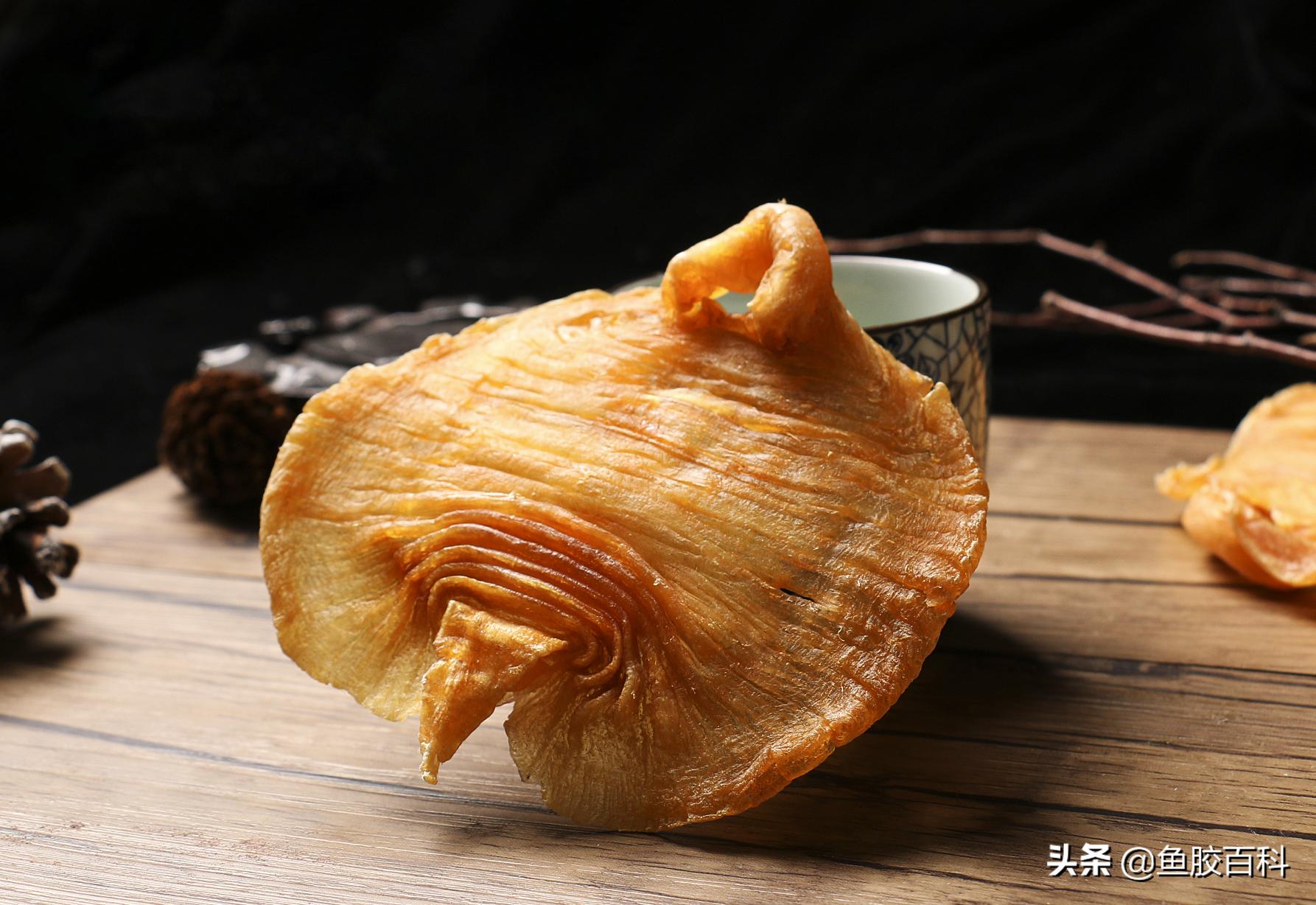 鱼胶花胶科普,鱼胶怎么买又便宜又有营养