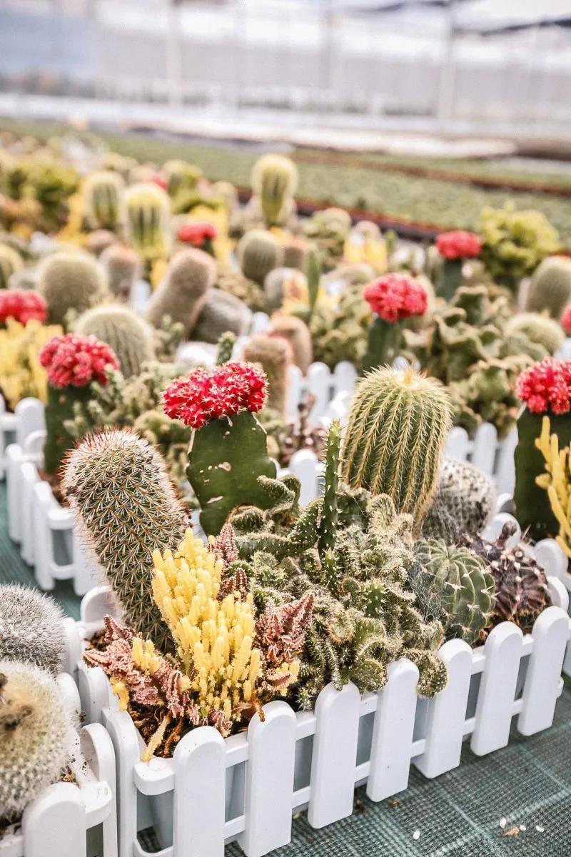 在大山深处幽静绝美的村落,深藏大山中的村落