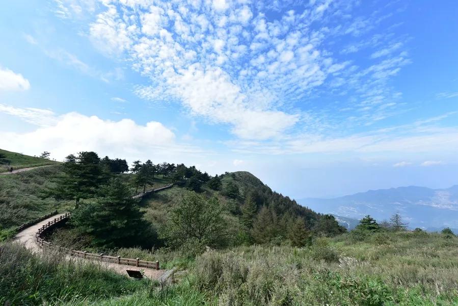 景点山楂树之恋,相约百里荒