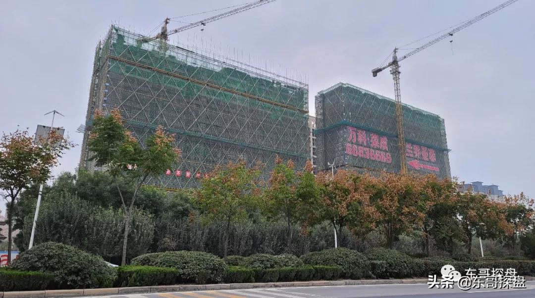 绿博有希望吗,绿博近况