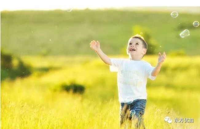 树大自直的正确含义,树大自直的意思