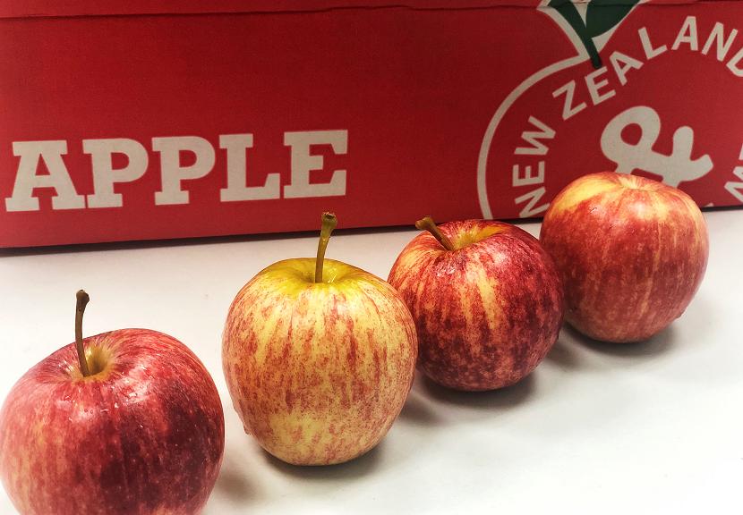 来自新西兰的嘎啦小苹果，一口就让你难忘