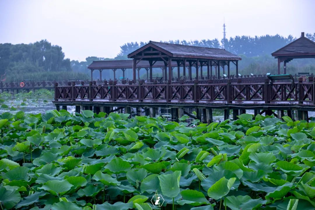 在苏州清洗家电,在苏州清宫住院的费用怎么报销