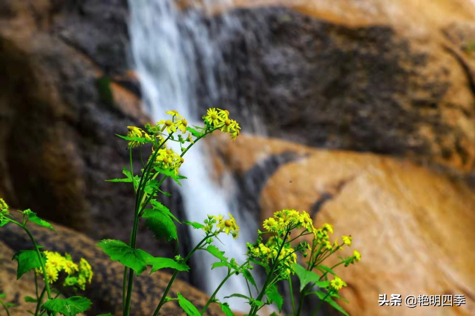平顶山画眉谷旅行,鲁山县画眉谷视频