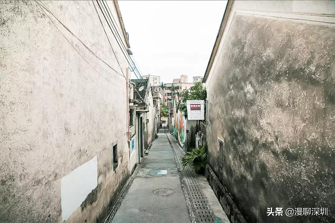 行走深圳歌曲,深圳观澜攻略