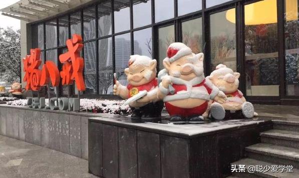 猪八戒网怎么入驻,猪八戒网要什么技术才能接单