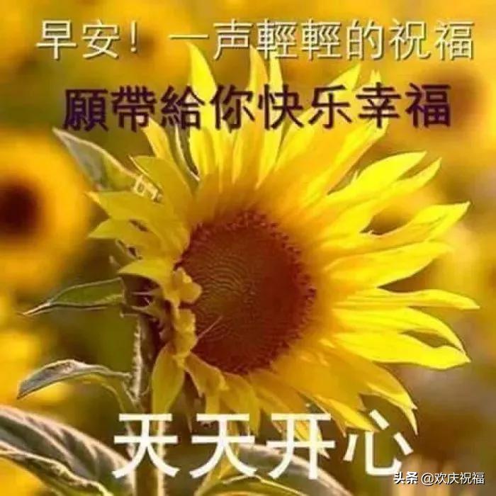 超漂亮的早上好祝福语动画表情图,超赞早上好问候漂亮图片表情带字