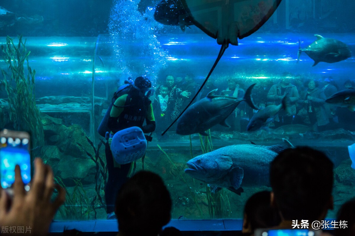 浜斾竴钀嶄埂鏃呮父鏀荤暐鏅偣蹇呭幓鎺ㄨ崘,浜斾竴鏈熼棿鍘昏タ婀栨梾娓告櫙鐐瑰厤璐瑰悧