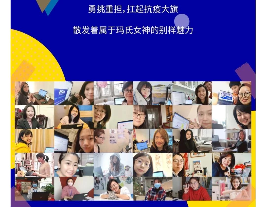 玛氏计划,玛氏集团的企业战略