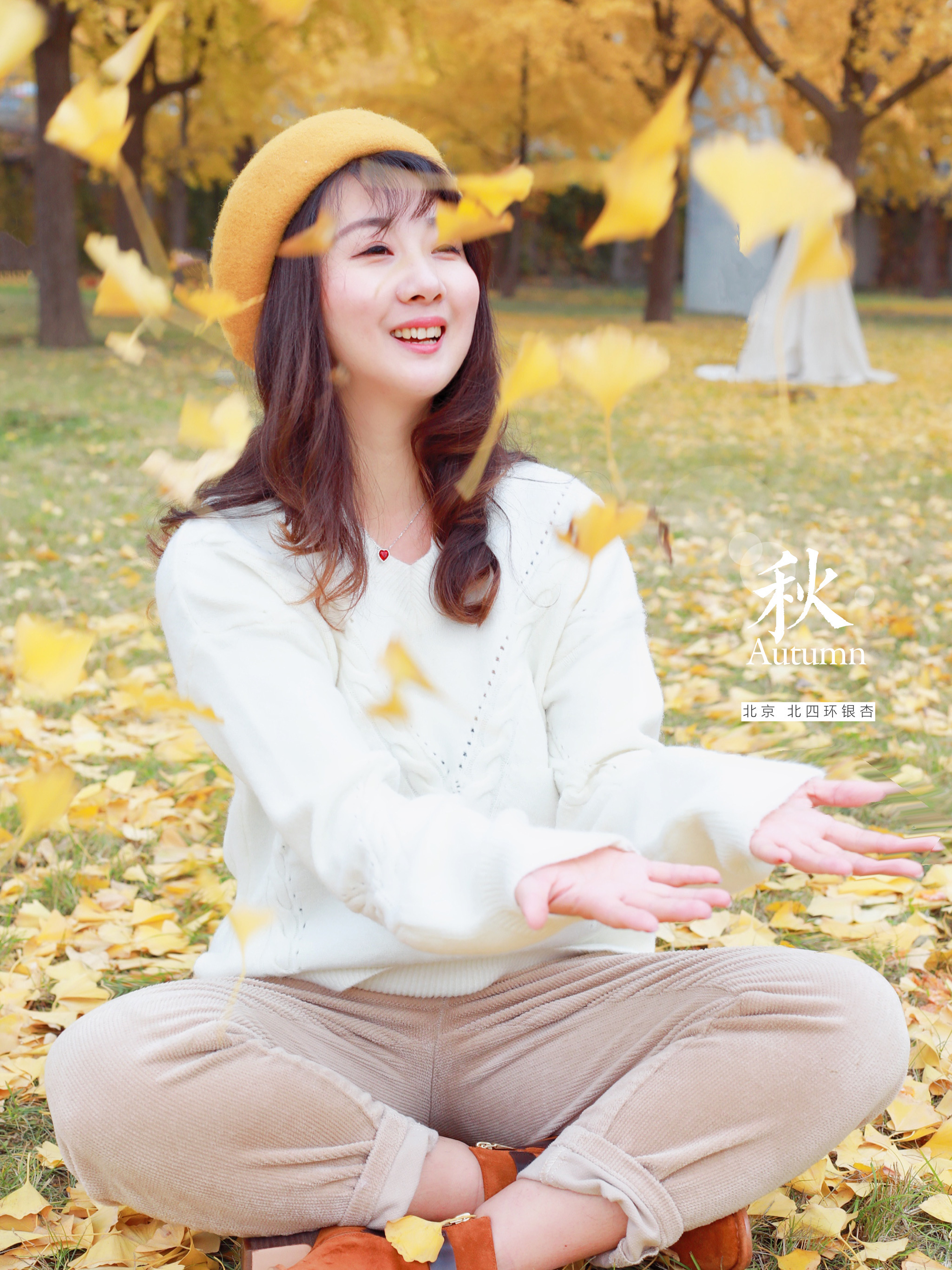 北京银杏特别黄,北京哪里有成片的银杏树林