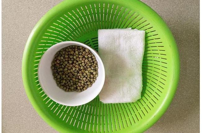 绿豆芽怎么发育,绿豆芽怎么发芽家庭版