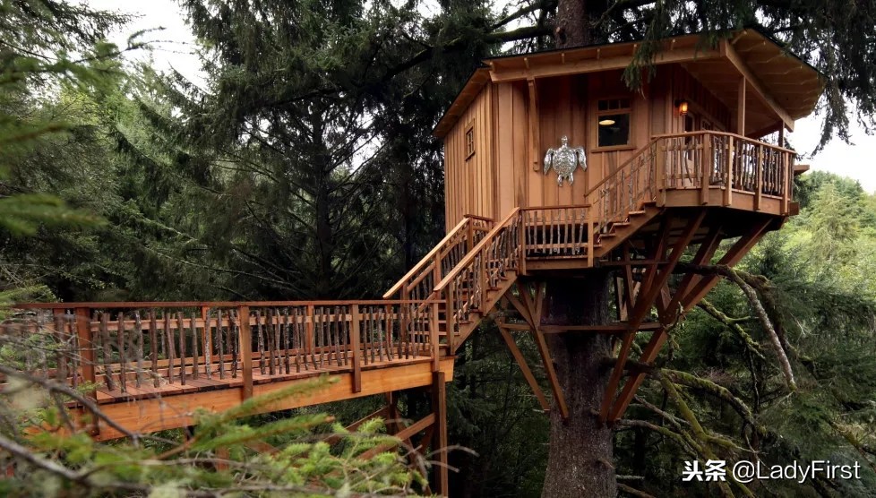 提升女孩子气质的纪录片,女性提高见识的电影