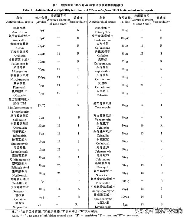 对虾养殖弧菌检测都是黄色小弧菌,对虾弧菌处理的原理是啥