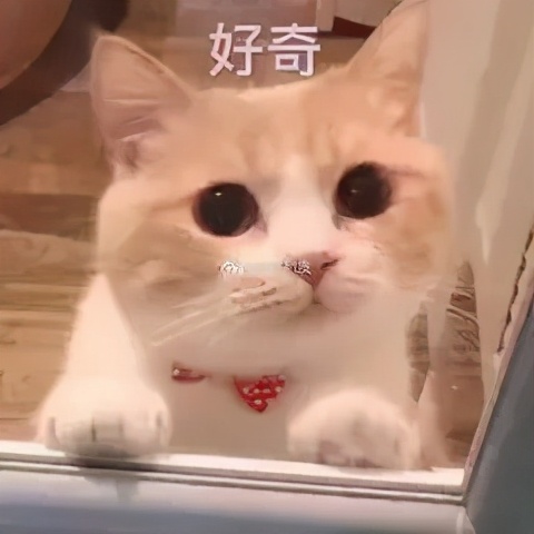 479中学在成都哪个地方,成都锦江区有什么好的高中