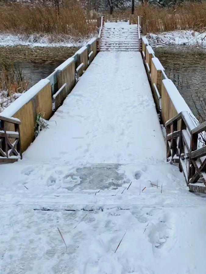 杜甫咏雪的诗句,咏雪七言绝句古诗