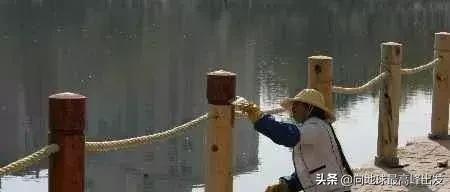 全套景观安装施工三维图解,钢结构景观亭施工工艺