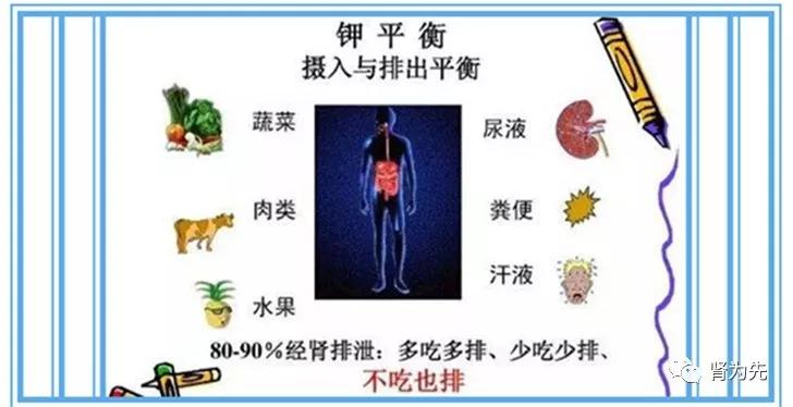 血钾高对肾脏有什么影响,血钾升高对肾功能有影响吗