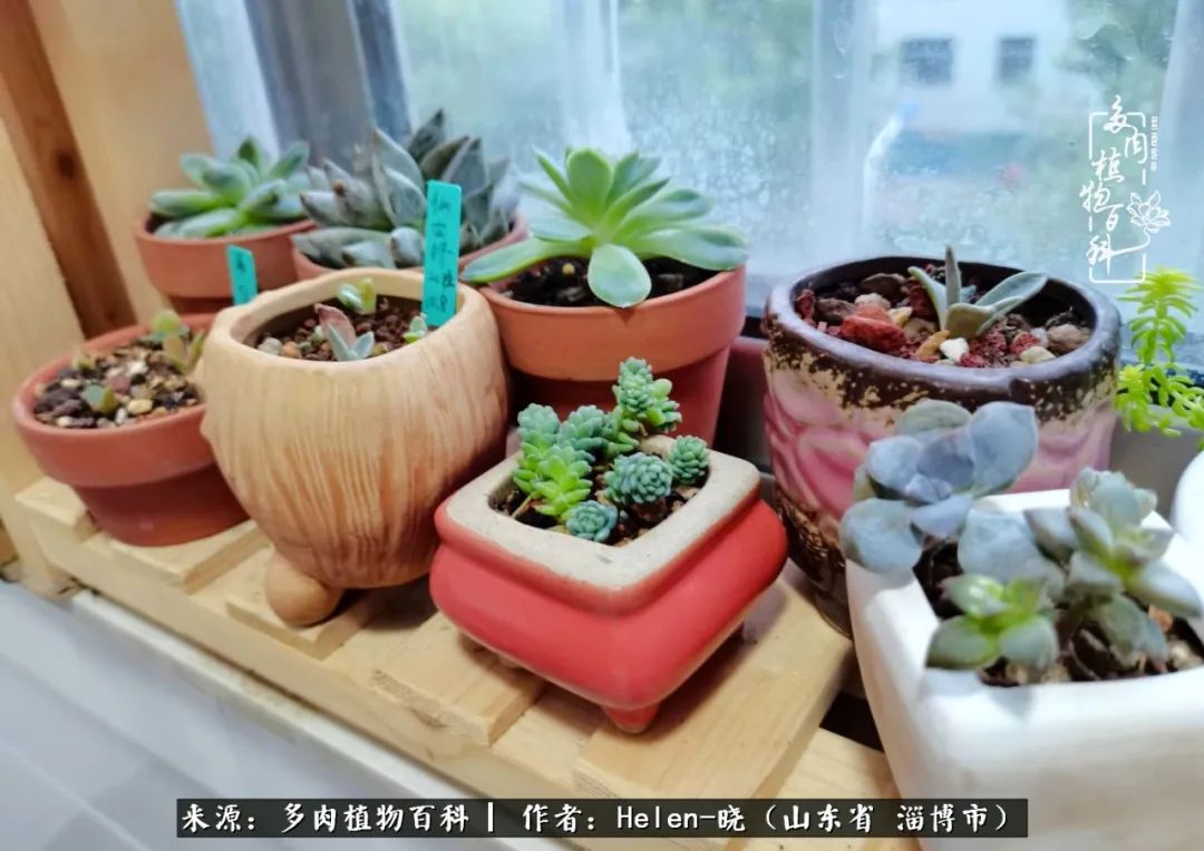 人到中年温暖如初,人到中年岁月静好