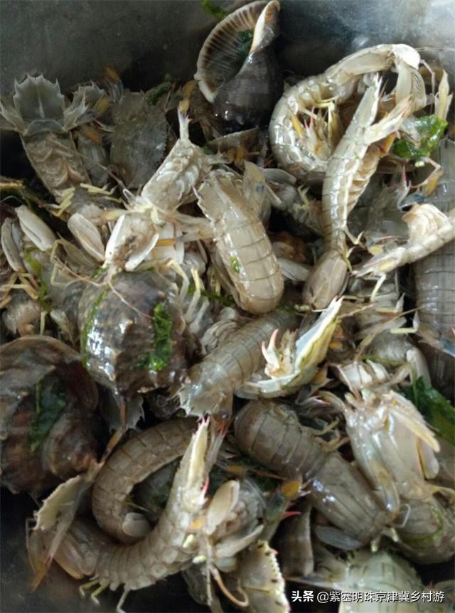 人间六月天，来海岛许一场似水流年——唐山乐亭韩姐农家院