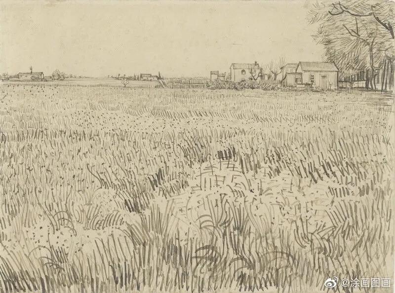 著名画家文森特梵高简介,文森特梵高作品图