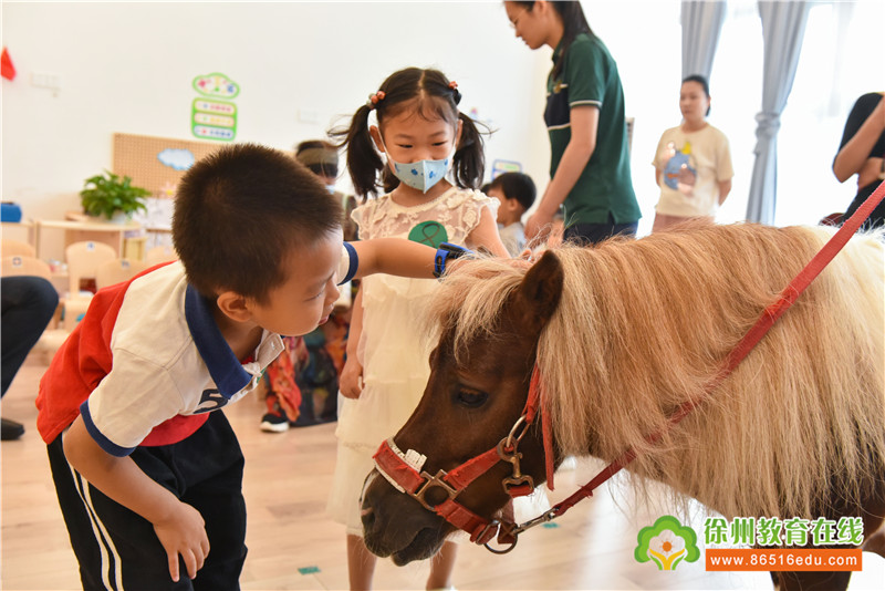 徐州树恩幼教国际艺术中心,树恩国际幼教艺术中心多少钱