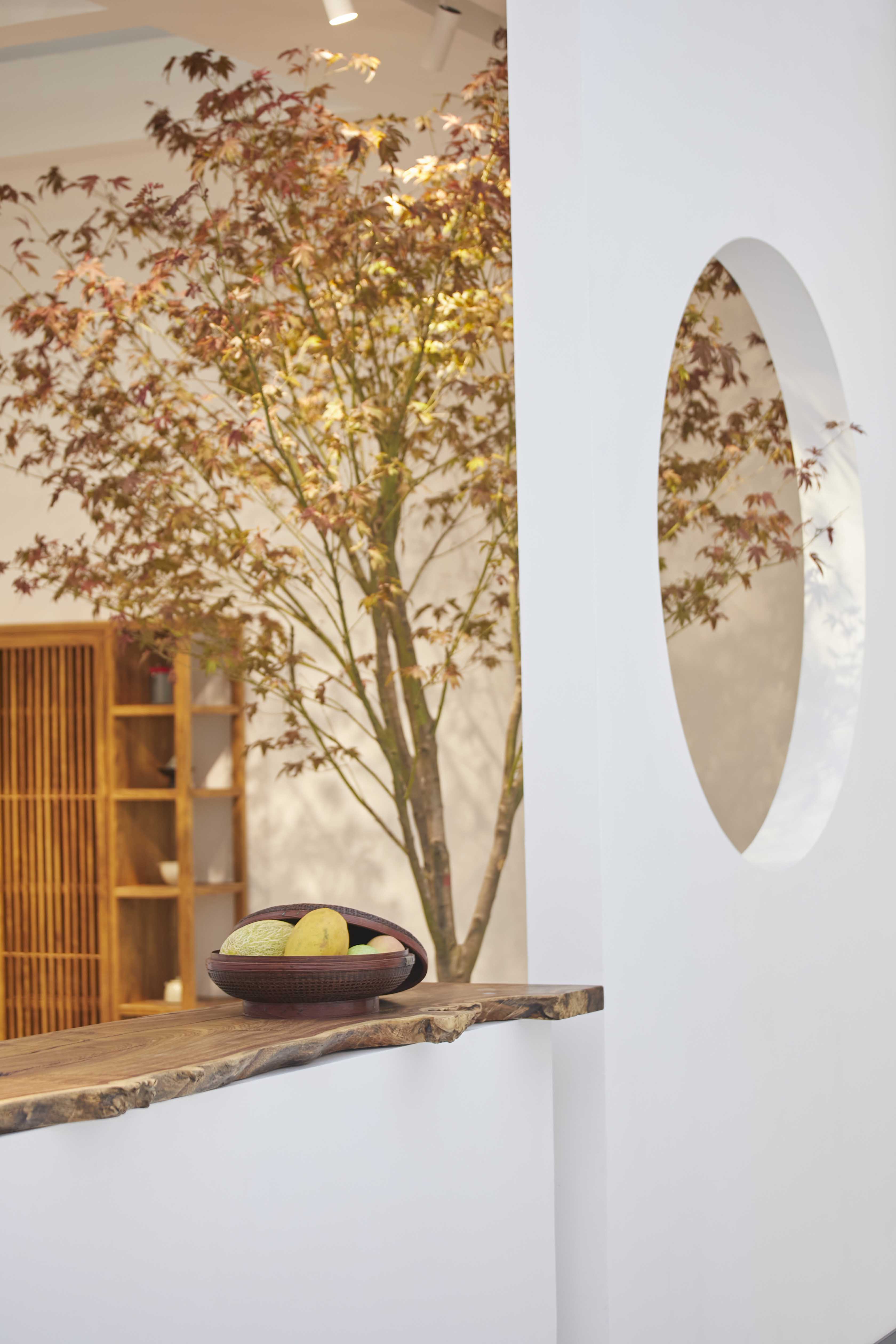 自在工坊直播,自在工坊深圳店