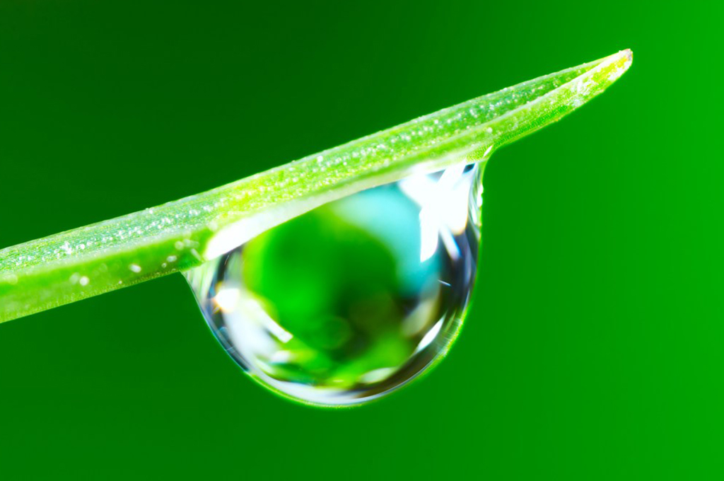 研究生真的有用吗,研究生有多大用处