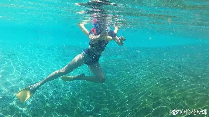 澳大利亚旅游抱考拉,麻麻游记视频大全