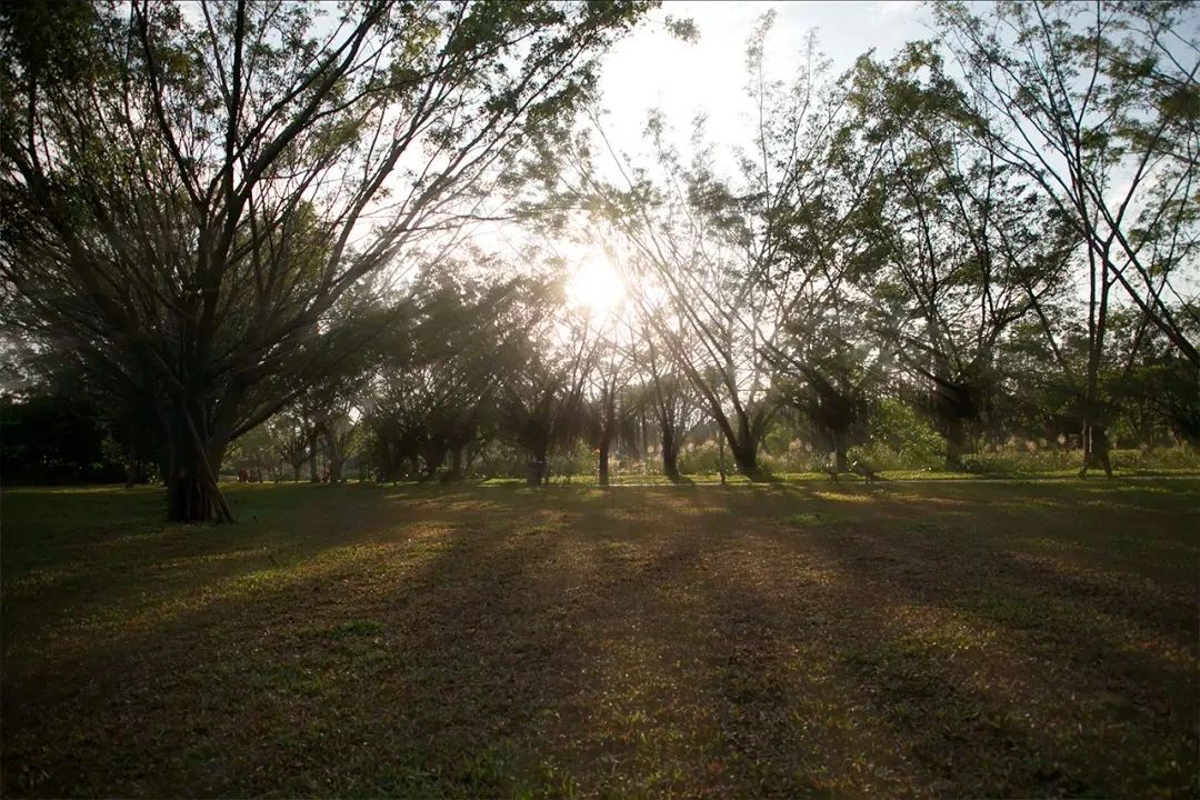 深圳地铁7号线有什么好玩的,深圳地铁十四号线游玩攻略
